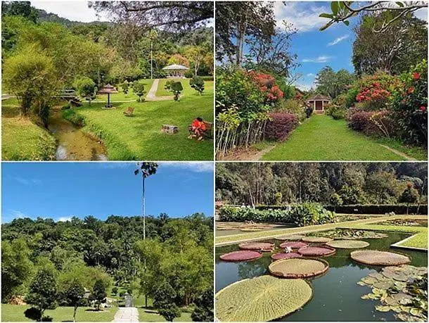Penang Waterfall Botanic Garden Bungalow Villa George Town 0*,